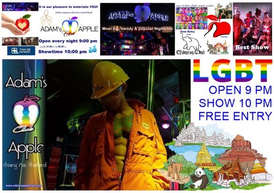 Night-time attractions in Chiang Mai Adams Apple Club. This unique Venue OPEN every Night 9:00 PM and the Show START 10:00 PM