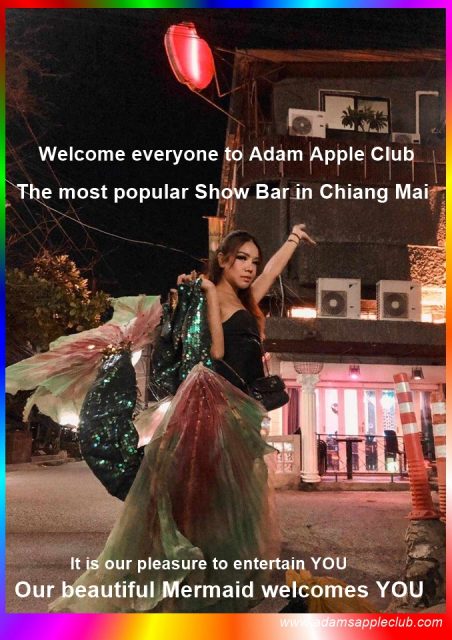 Our Mermaid welcomes YOU at Adams Apple Club Chiang Mai. Let yourself be surprised and enjoy a unique evening with friends or alone.