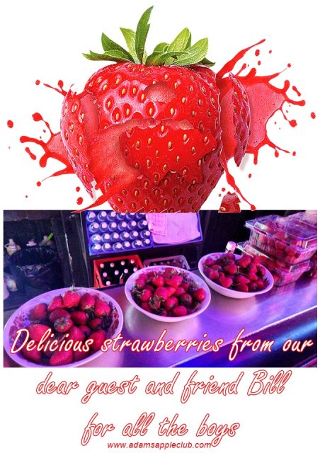 Delicious strawberries from our dear friend Bill. We would like to thank you from the bottom of our hearts for this lovely surprise.
