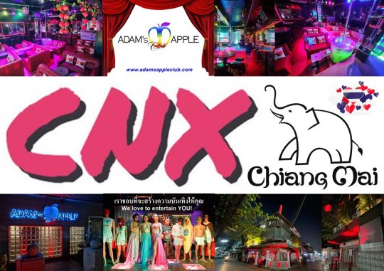 Gay Bar CNX 2024 – Adams Apple Club the legendary Show Bar in Chiang Mai is one of the famous LGBT venues in Town.