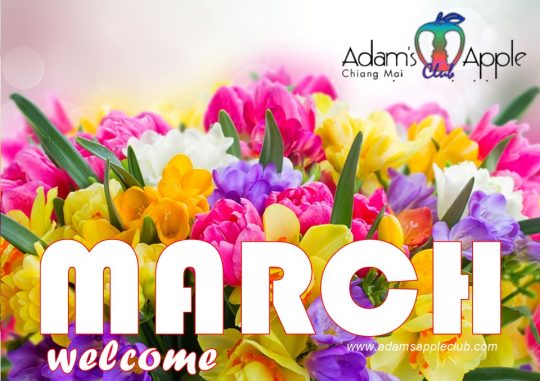 Welcome MARCH 2024 - We wish our friends all over the world a nice month of MARCH and look forward to your visit to our gay Nightclub