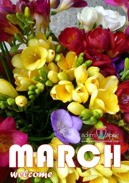 Welcome MARCH 2024 - We wish our friends all over the world a nice month of MARCH and look forward to your visit to our gay Nightclub