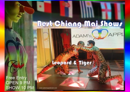 Best Chiang Mai Shows at the legendary Adams Apple Club. A fun-loving venue that attracts a mixed crowd of straight and gay guests