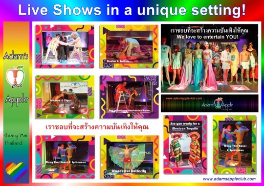 Live Shows in a unique setting! Adams Apple Club Chiang Mai. The marvelous Adams Apple artists on stage will enchant you.