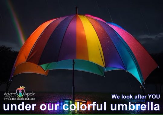 Colorful umbrella We look after YOU under our colorful umbrella. Welcome to our venue and let’s make the night out full of joy.