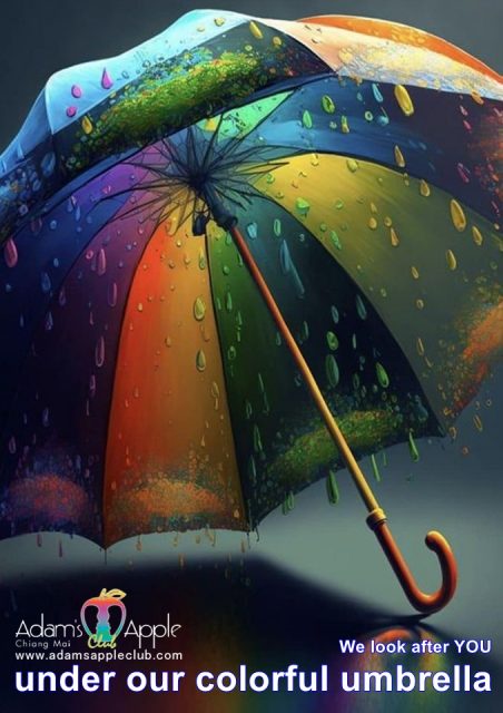 Colorful umbrella We look after YOU under our colorful umbrella. Welcome to our venue and let’s make the night out full of joy.