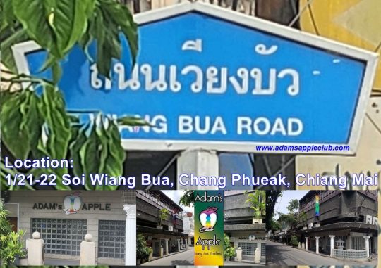 Wiang Bua Road - Our legendary venue, Adams Apple Club, is located in the north of Chiang Mai, in the Santitham area, on Wiang Bua Road