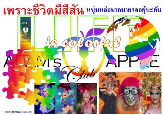 LIFE in Chiang Mai is colorful Adams Apple Nightclub. Our fun-loving venue that attracts a mixed crowd of straight and gay guests.
